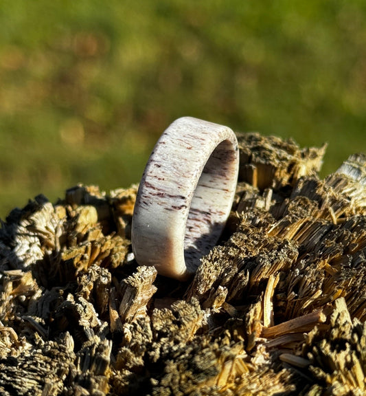 Deer Antler